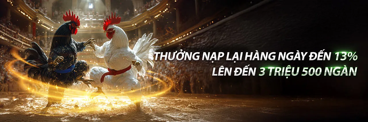 Đá gà trực tuyến kịch tính tại 8qbet chính thức