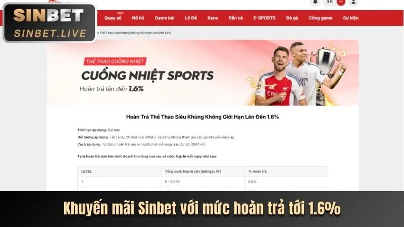 Giao diện cá cược thể thao 8qbet